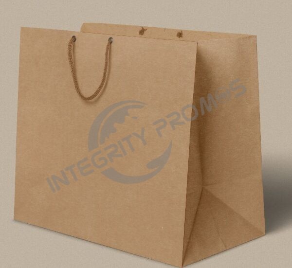 Paper Shopping-bag-back