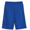 Men's-Mesh-Shorts-2